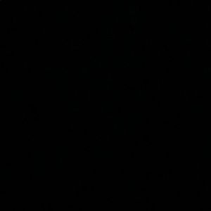 Meet your Posher, Bob